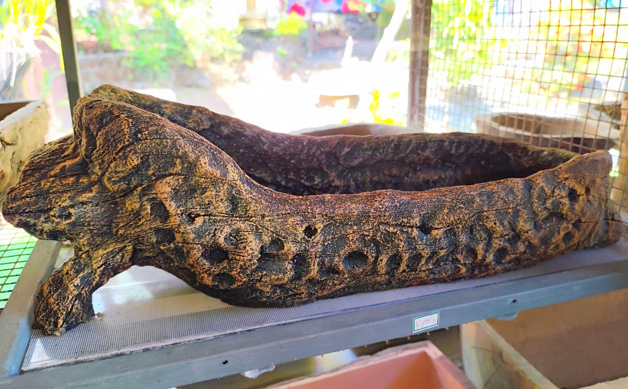 Sharon Crafts Kottarakara